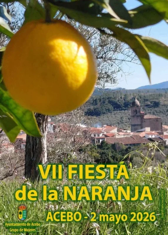 VII Fiesta de la Naranja 2026