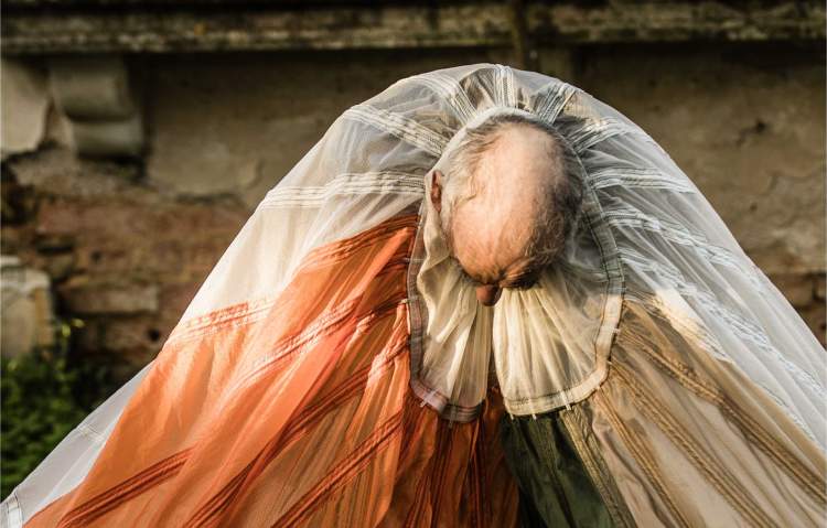 Open Call - A Paz