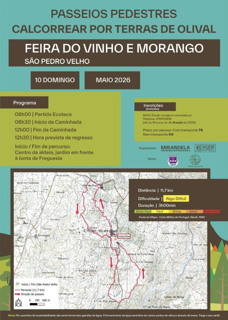 Passeio Pedestre Feira do Vinho e do Morango – São Pedro Velho
