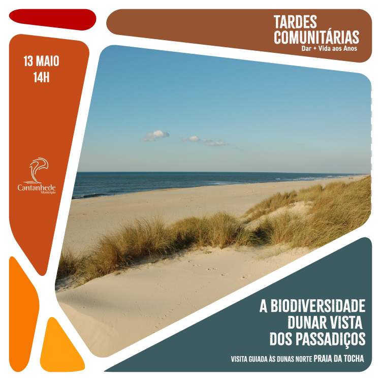 Tarde Comunitárias - A Biodiversidade Dunar vista dos Passadiços