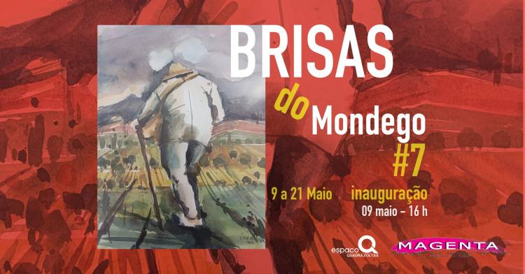 Brisas do Mondego #7 