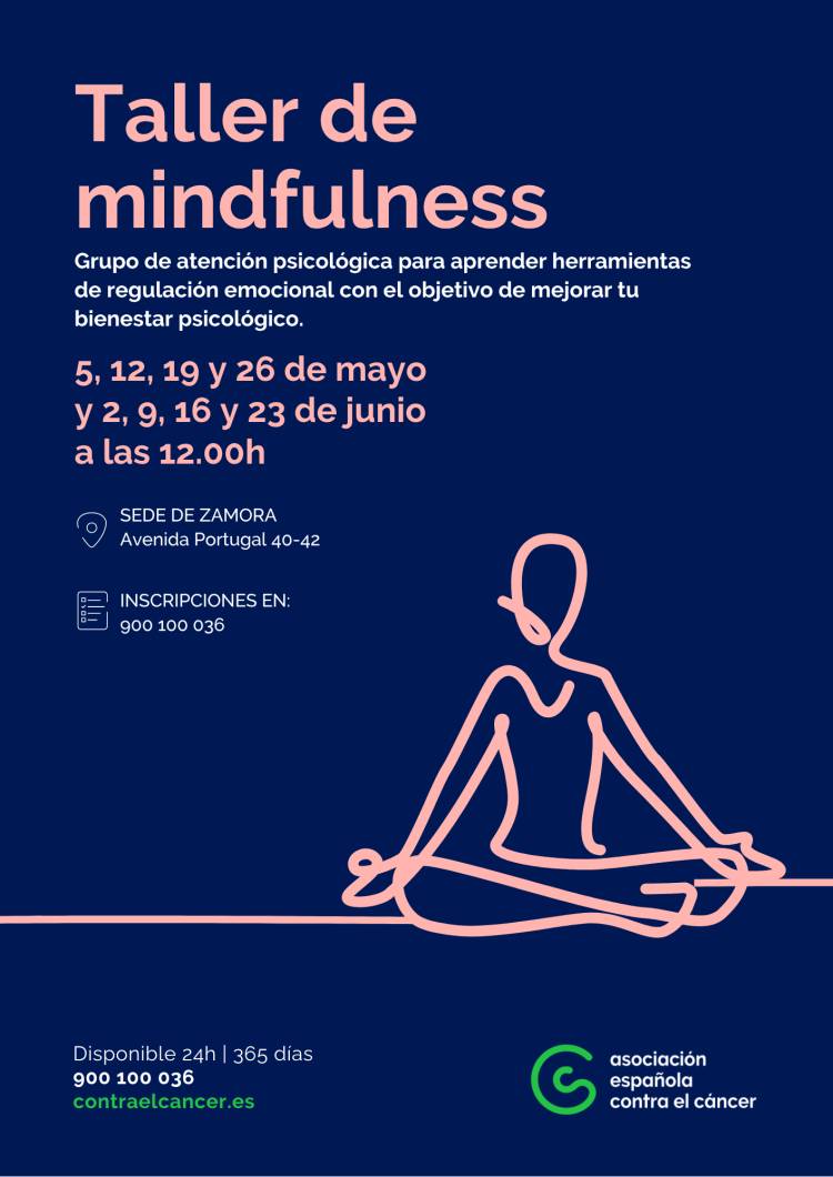 Taller Mindfullness