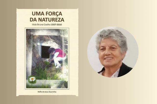 Autores da Nossa Terra
