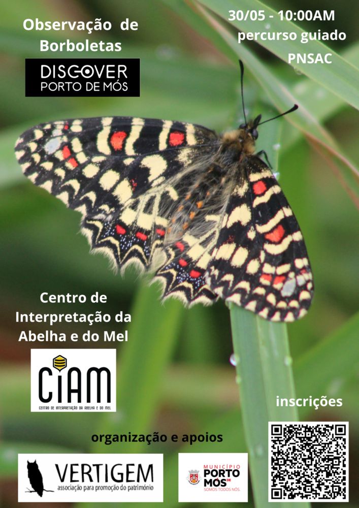 Observação de borboletas