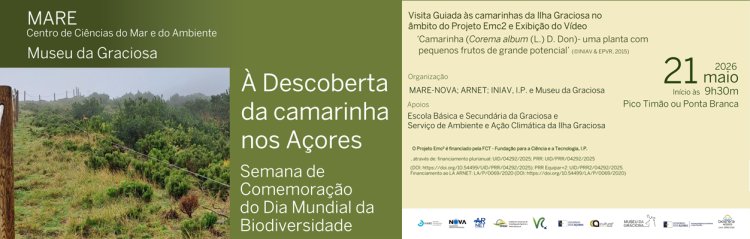 À DESCOBERTA DA CAMARINHA NOS AÇORES