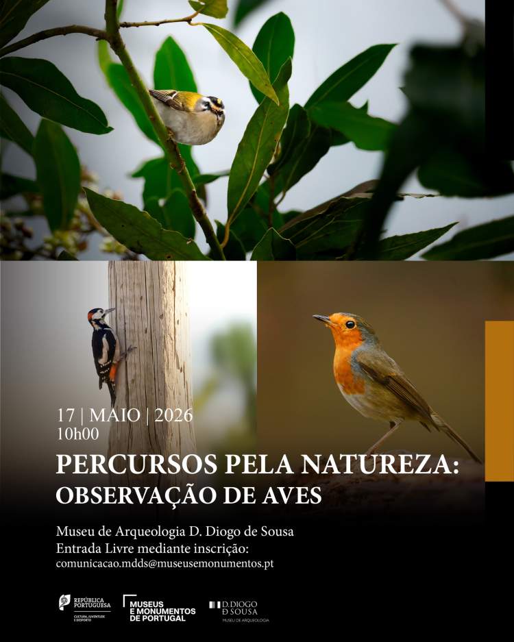 Percursos pela Natureza: observação de aves 
