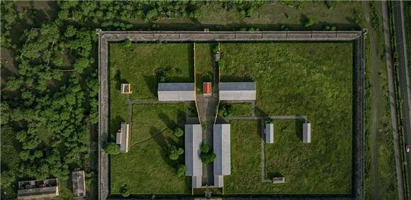 Sessões de Inverno - Chão verde de pássaros escritos