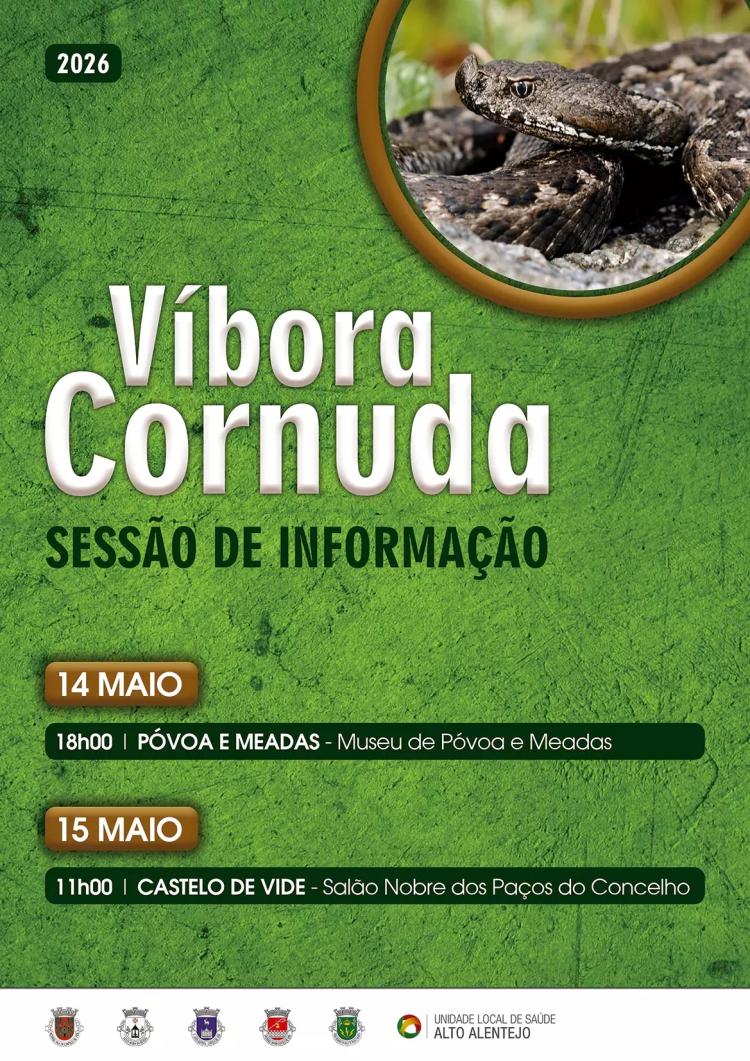 SESSÃO DE INFORMAÇÃO – VÍBORA CORNUDA