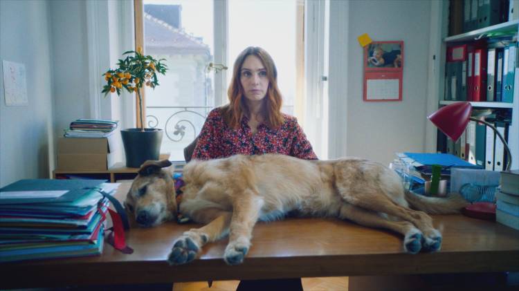 O Processo do Cão - Laetitia Dosch