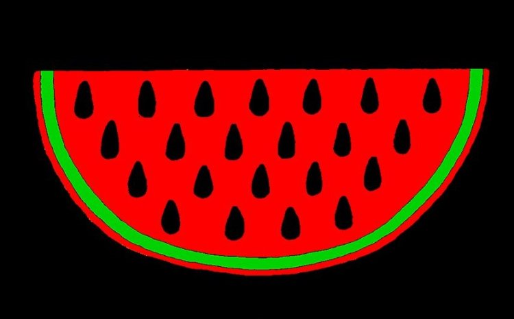 Arte pela Palestina