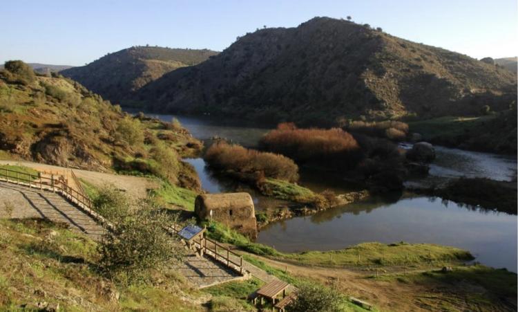 Engenhos, Memórias, Paisagens: Os Moinhos de Mértola