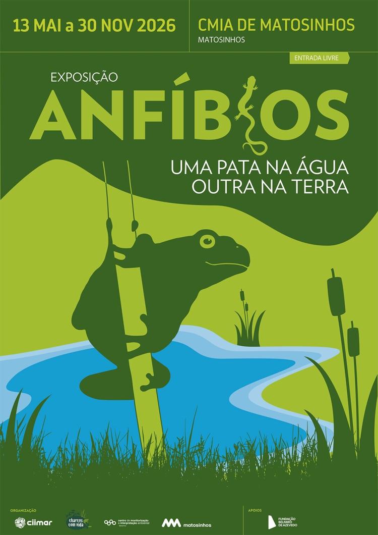 Anfíbios: uma pata na Água, outra na Terra