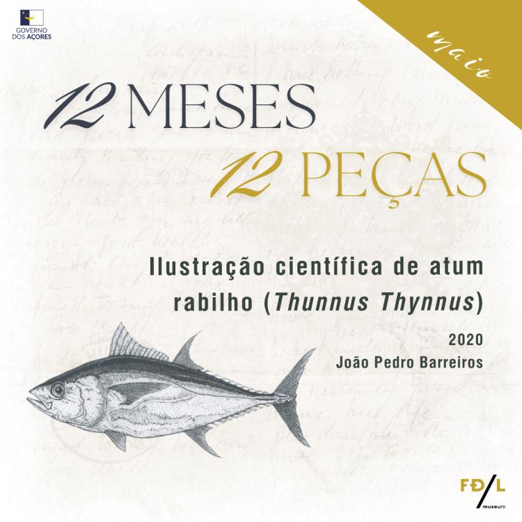 12 meses, 12 peças: maio