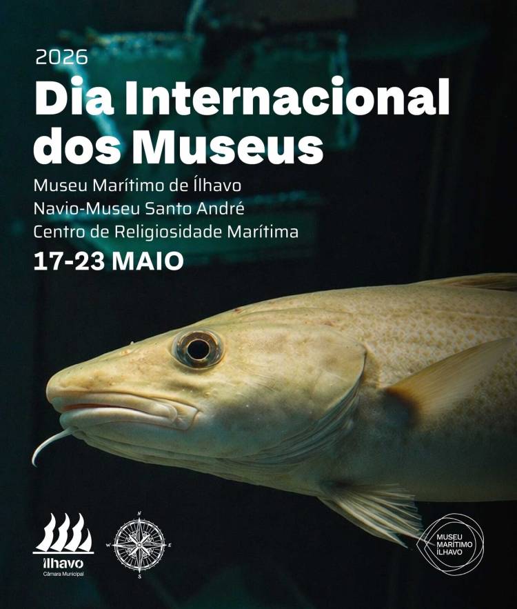 Dia Internacional dos Museus