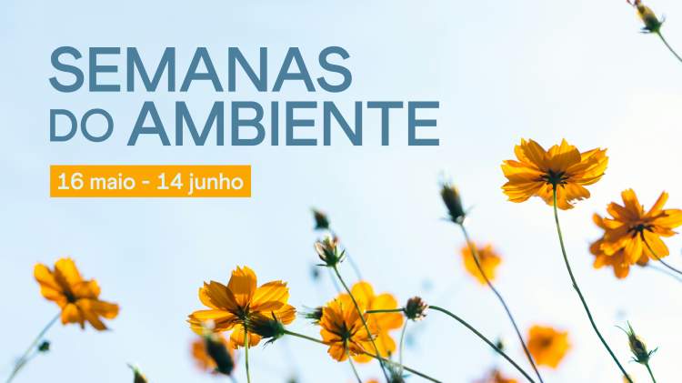 Compensa aproveitar água da chuva em Torres Vedras?