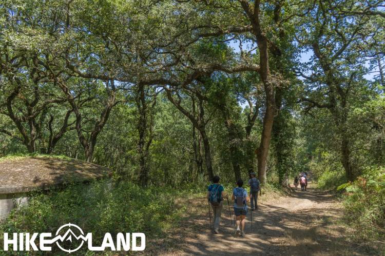 Caminhada Literária: “A Vida Contada por um Sapiens a um Neandertal” | Mata do Vimeiro