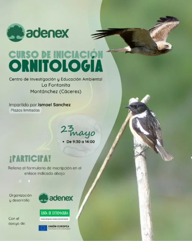 Curso de Iniciación a la Ornitología | Montánchez