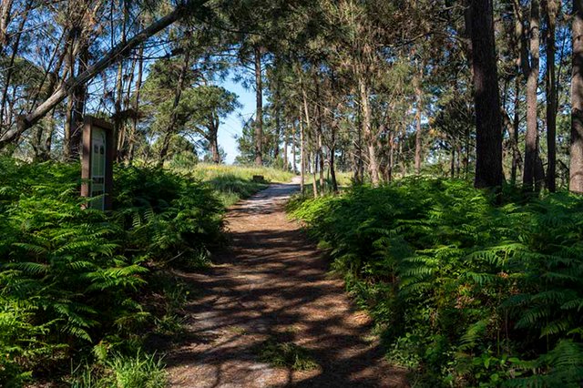 Bioblitz no Zimbral do Parque