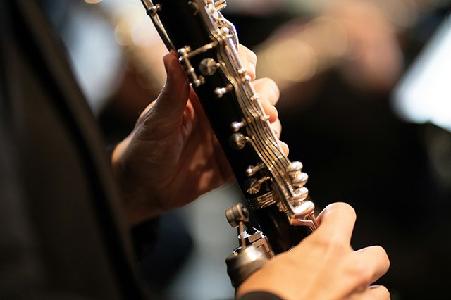 Concerto de Natureza