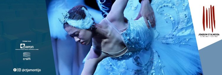 O Lago dos Cisnes [dança]