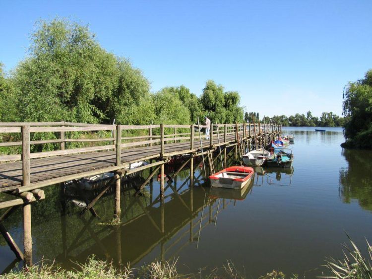 Caminhando pelas Aldeias Avieiras e Passeio de Barco