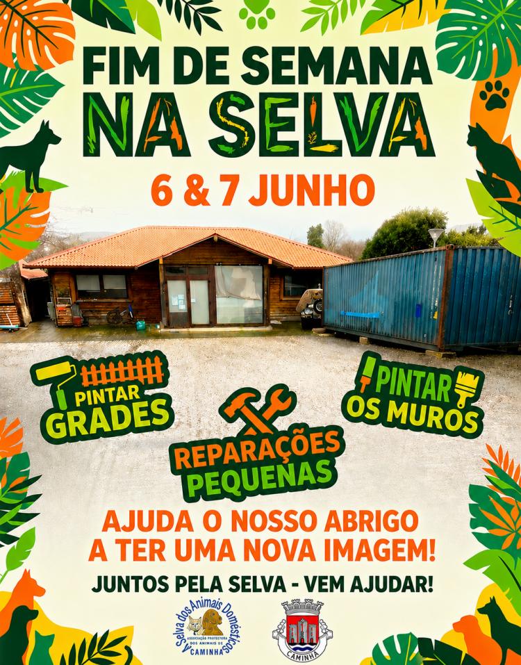 Fim de Semana na Selva