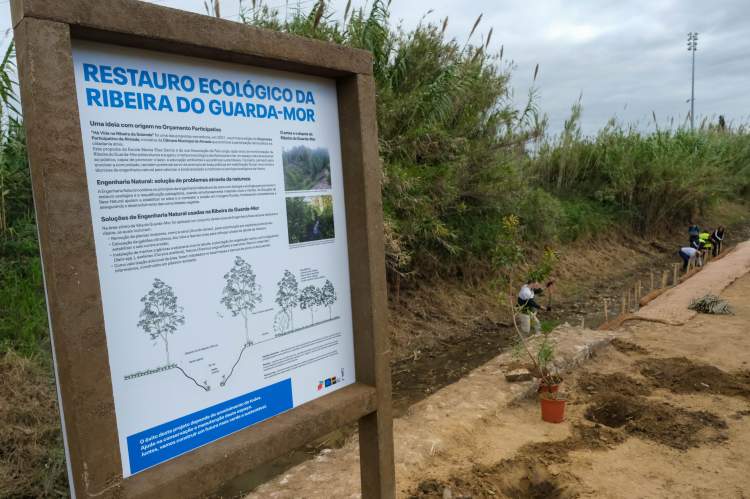 Há vida na Ribeira da Sobreda - ação de voluntariado ambiental