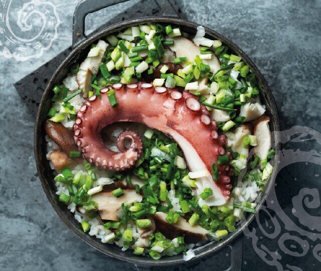 Semana Gastronómica do Polvo regressa ao concelho de Odemira
