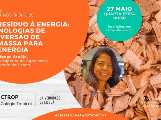Webinar | Do resíduo à energia: Tecnologias de conversão de biomassa para bioenergia