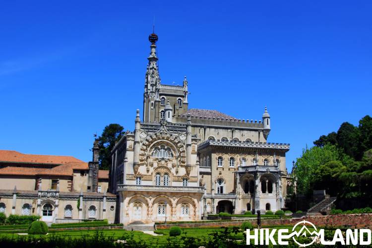 Viagem Pela Mágica Mata Nacional do Bussaco | Mealhada