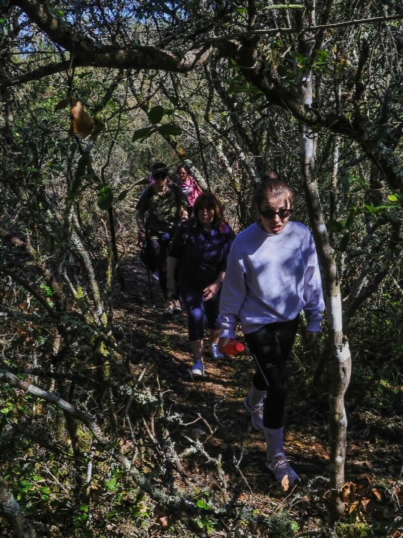 Percurso Pedestre de Santa Catarina da Serra