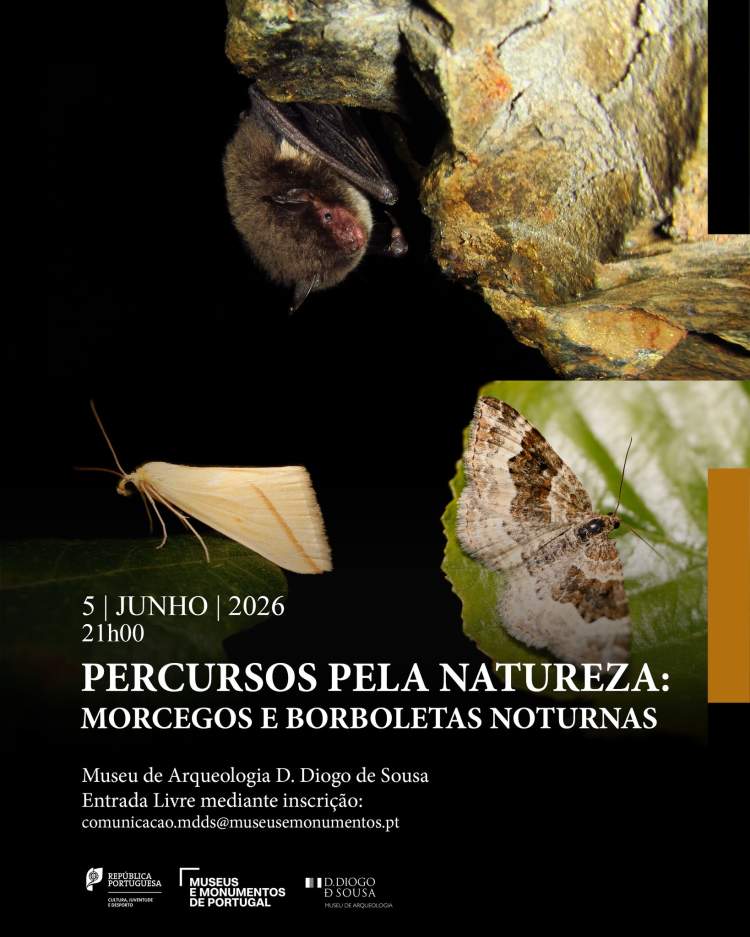 Percursos pela Natureza: Morcegos e Borboletas Noturnas