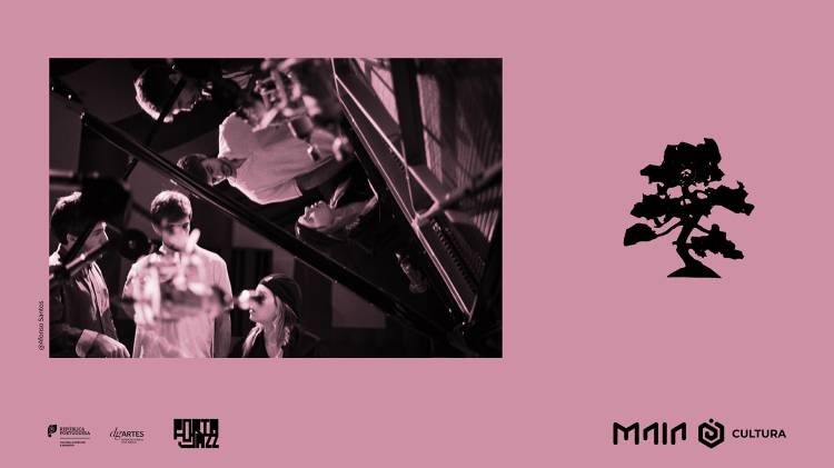  Jazz no Jardim do Parque Central da Maia | “The Peace of Wild Things” 