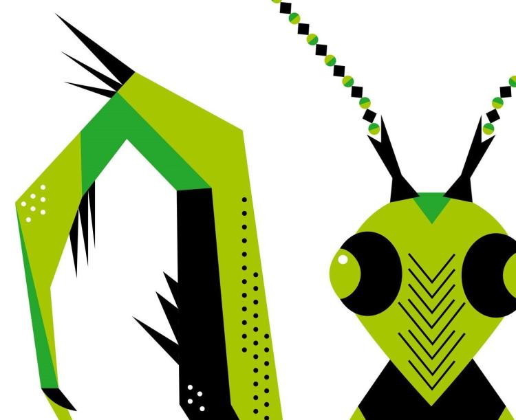 Salva a Terra - Ecofestival