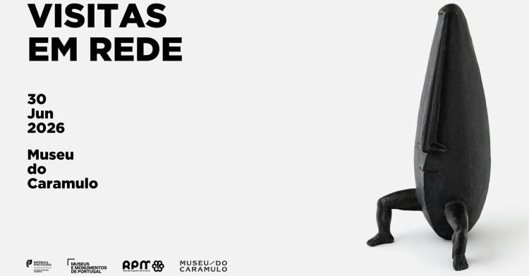 Visitas em Rede no Museu do Caramulo