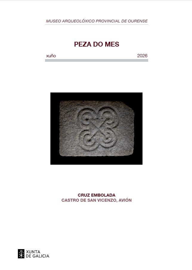 Peza do mes: Cruz embolada, castro de San Vicenzo, Avión