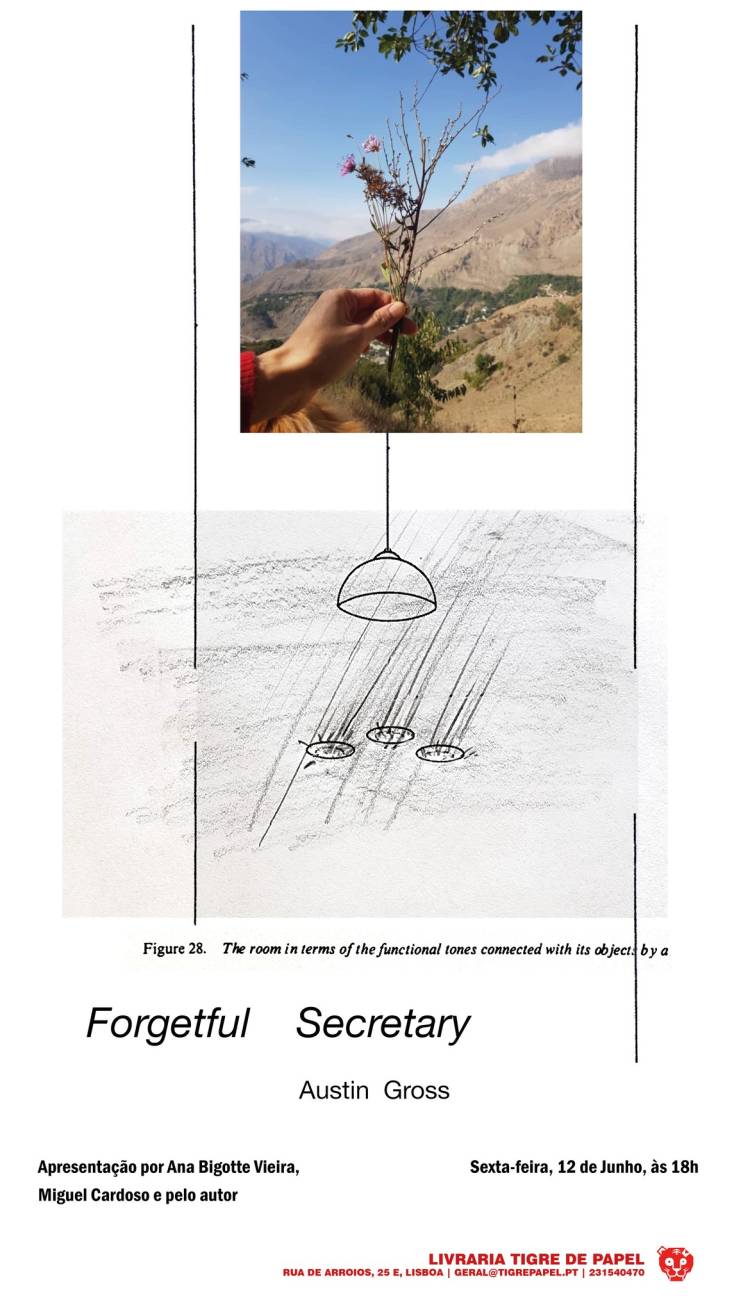 Apresentação do livro Forgetful Secretary, de Austin Gross