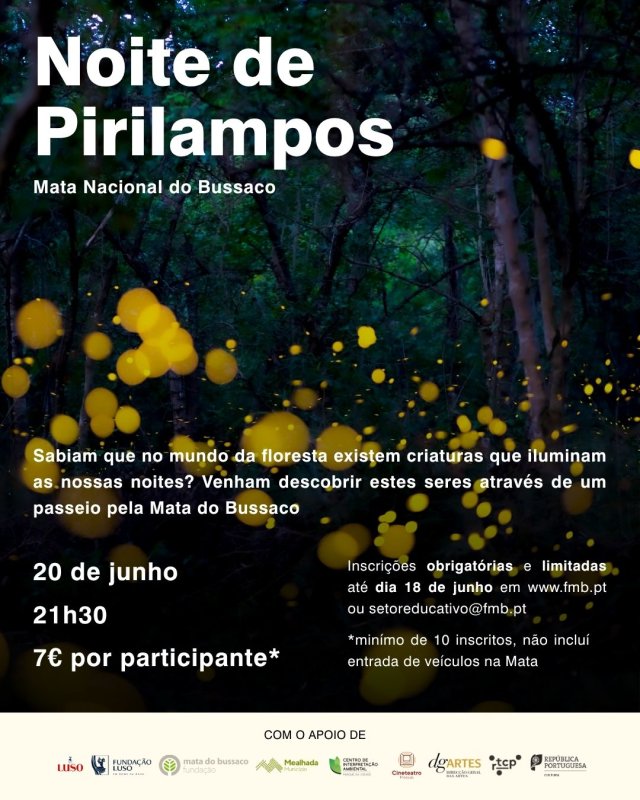 Noite de Pirilampos