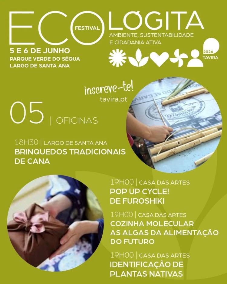 FESTIVAL ECOLÓGITA – OFICINAS