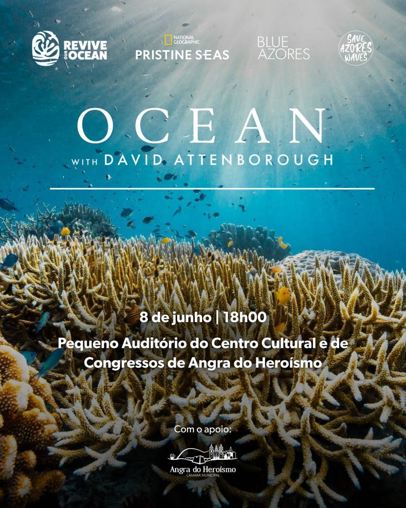 Sessão de cinema: Ocean with David Attenborough