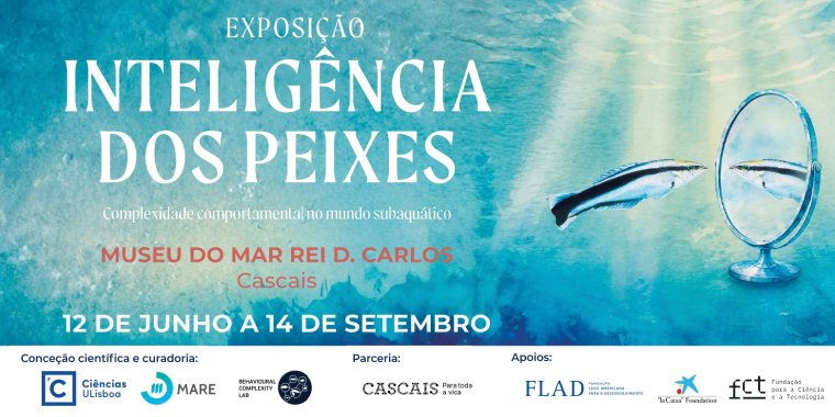 Exposição Temporária: Inteligência dos Peixes - Complexidade comportamental no mundo subaquático