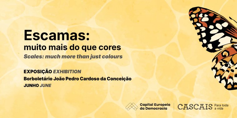 Escamas: Muito Mais Do Que Cores