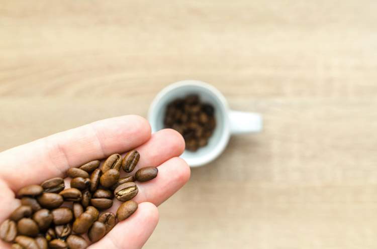 Entre grãos e aromas: ciência numa chávena de café