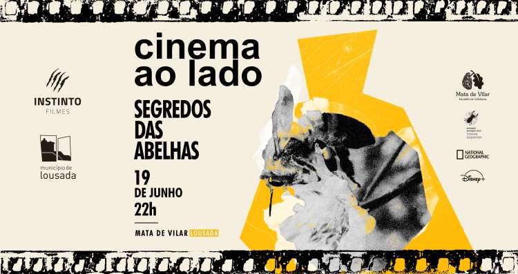 Cinema ao Lado - Segredo das Abelhas