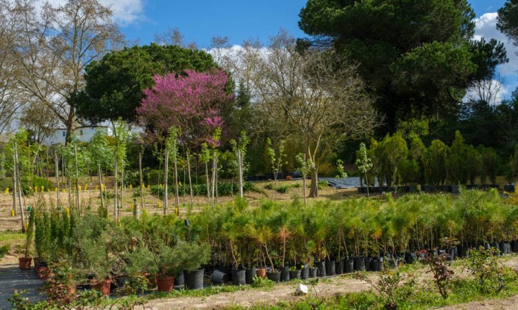 Workshop 'Manutenção dos Espaços Verdes I'