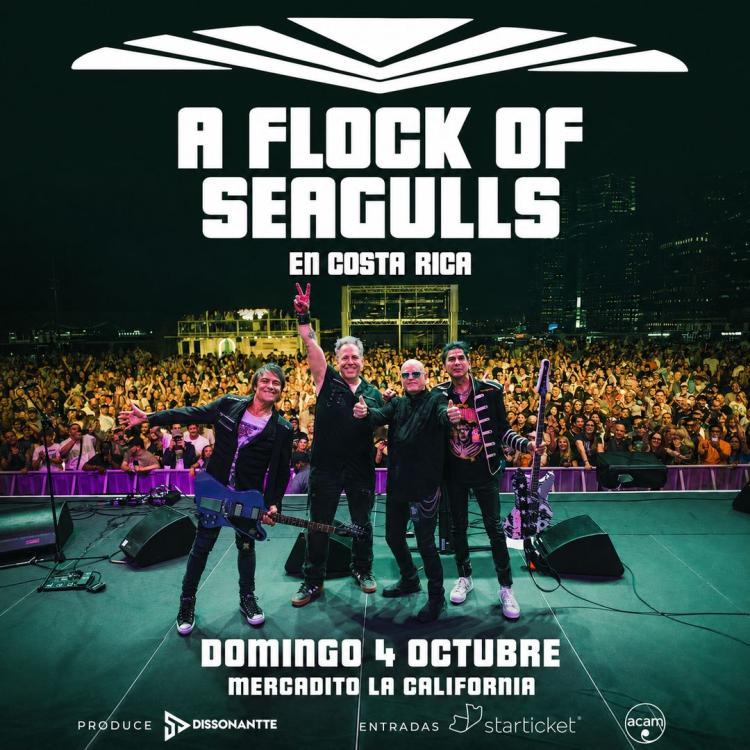 A FLOCK OF SEAGULLS