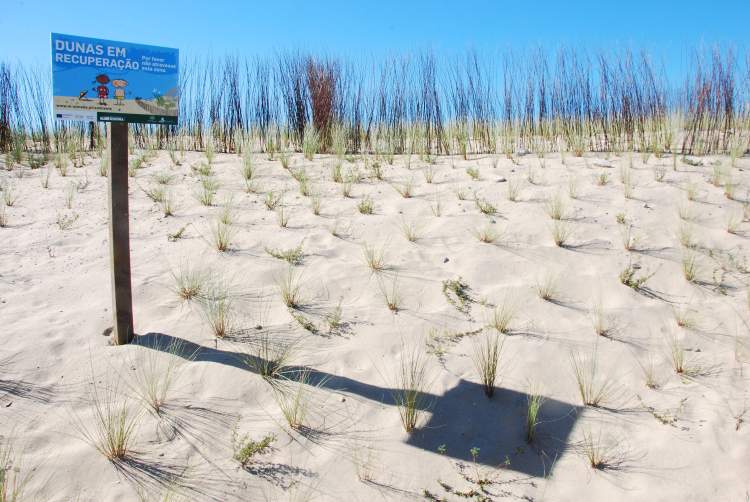 Ação de Voluntariado Ambiental ReDuna - São João da Caparica