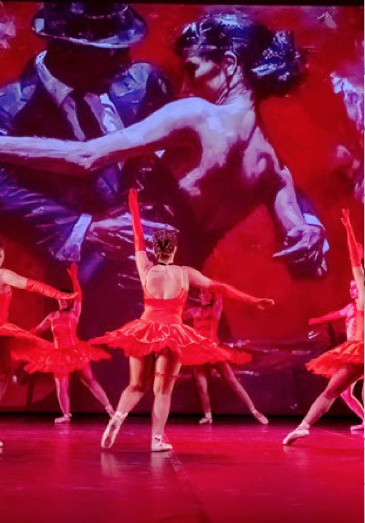 Espetáculo de Ballet e Dança Moderna Da Escola do Centro Cultural da Guarda