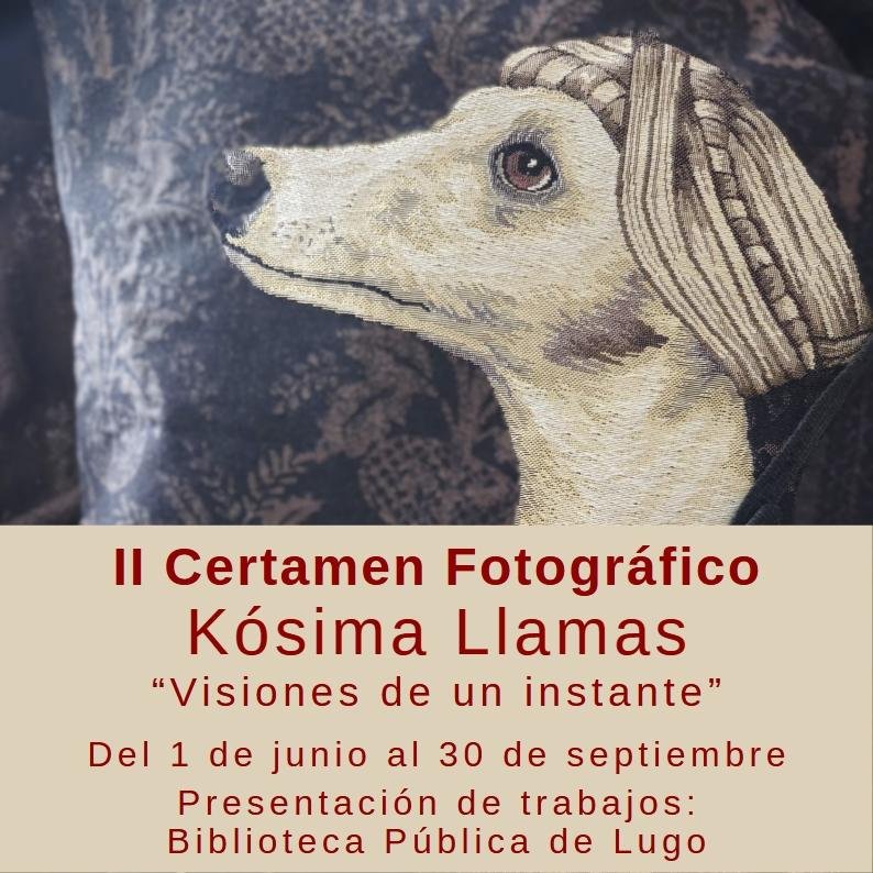 II CONCURSO FOTOGRÁFICO KÓSIMA LLAMAS : 'VISIÓNS DUN INSTANTE'