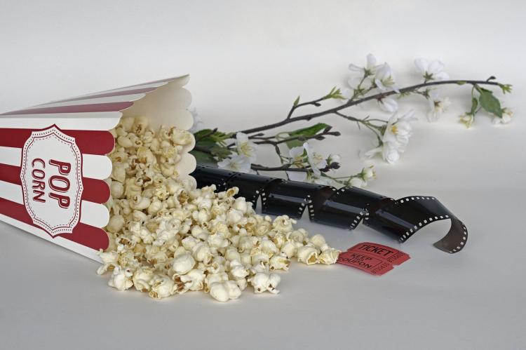 Proyección de películas infantiles | Biblioteca Pública de Heredia